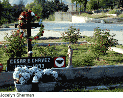 cesar chavez grave